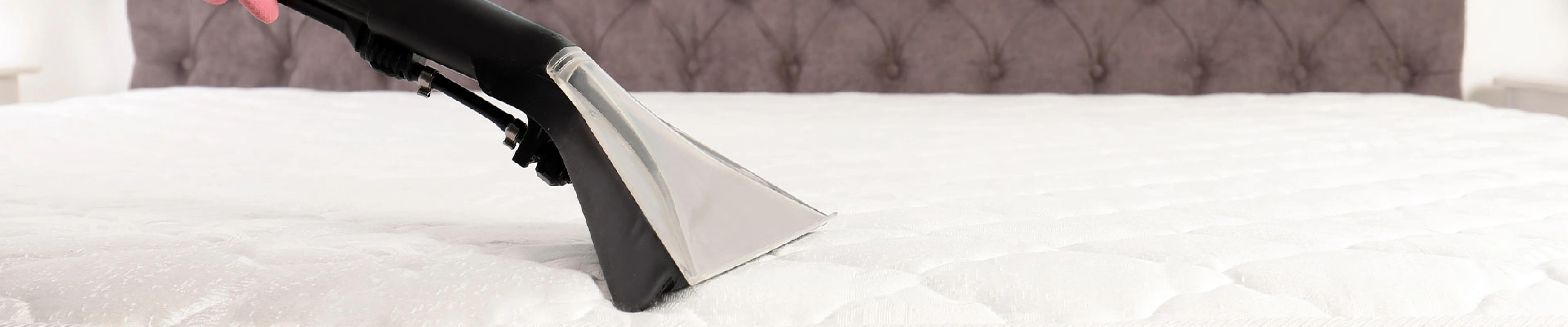 carpet cleaning in new jersey, carpet cleaning in new jersey, carpet cleaning new jersey, carpet cleaners in new jersey, carpet cleaners in new jersey, commercial carpet cleaning, commercial carpet cleaning in new jersey, new jersey rug cleaners, rug cleaning services in new jersey, same day carpet cleaning, same day rug cleaning