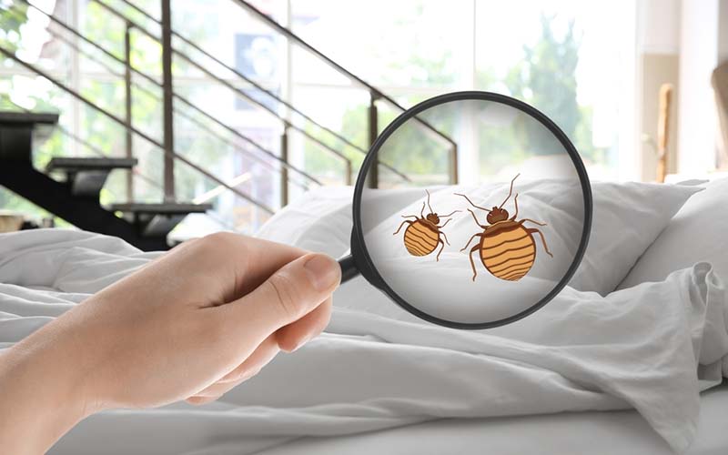 carpet cleaning in new jersey, carpet cleaning in new york, carpet cleaning new jersey, carpet cleaners in new jersey, carpet cleaners in new york, commercial carpet cleaning, commercial carpet cleaning in new jersey, new jersey rug cleaners, rug cleaning services in new jersey, same day carpet cleaning, same day rug cleaning